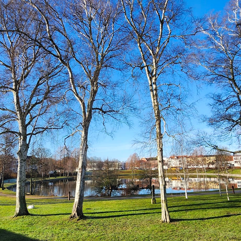 Foråsdag set fra Selmersbo